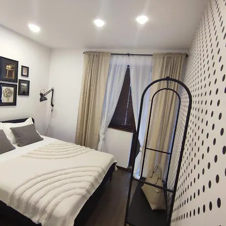 Sunflower By Rv * Varna